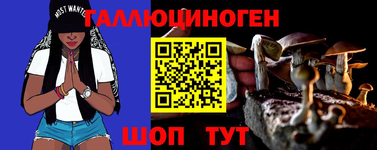 Галлюциногенные грибы Psilocybe  Псилоцибиновые грибы Magic Shrooms  Вход с VPN  Александров 